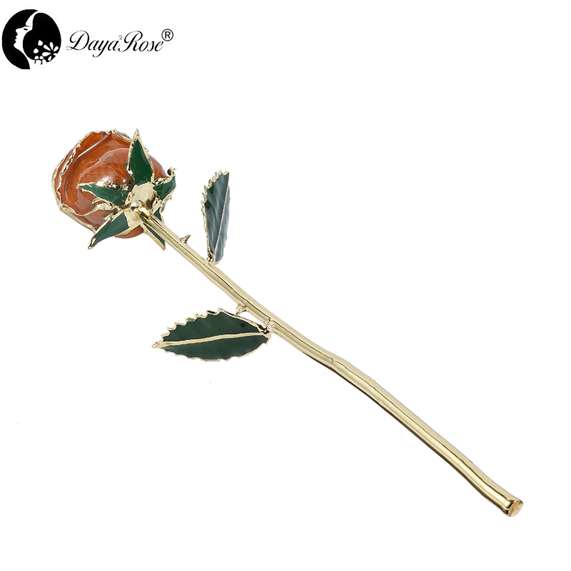 Daiya Gold Rosebud（橙色）